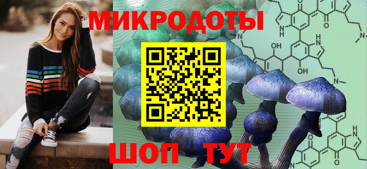 Псилоцибиновые грибы MAGIC MUSHROOMS  где можно купить наркотик  Нефтекумск  Вход с VPN 